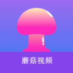 面部捕捉虚拟主播手机版APP应用